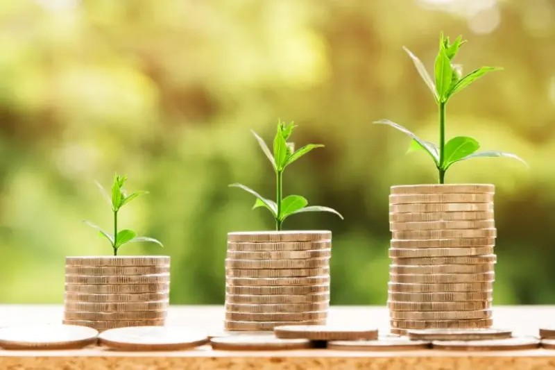 understanding the basics of investing